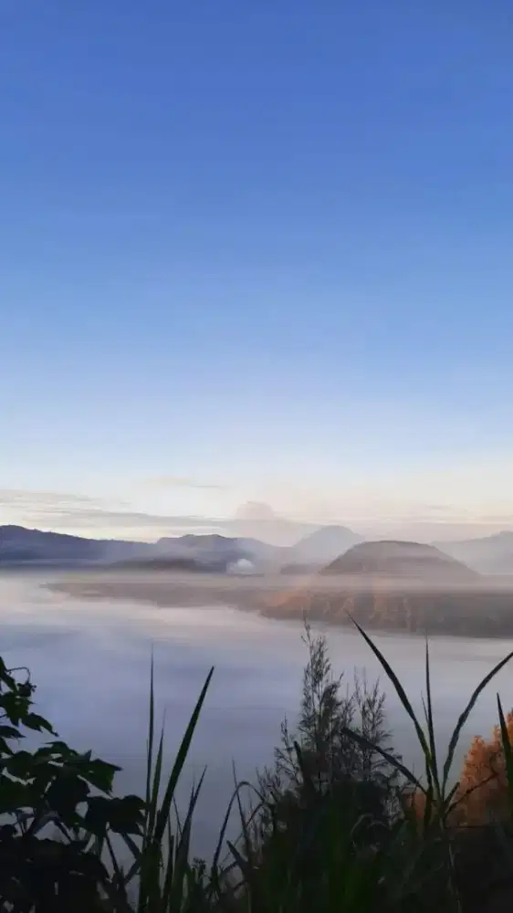dari jawatengah cari kerjaan