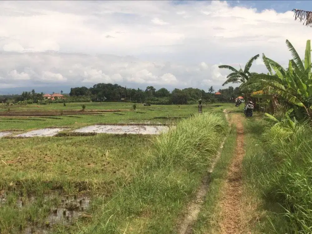 Dijual Lahan Murah View Pantai dan Gunung Tabanan