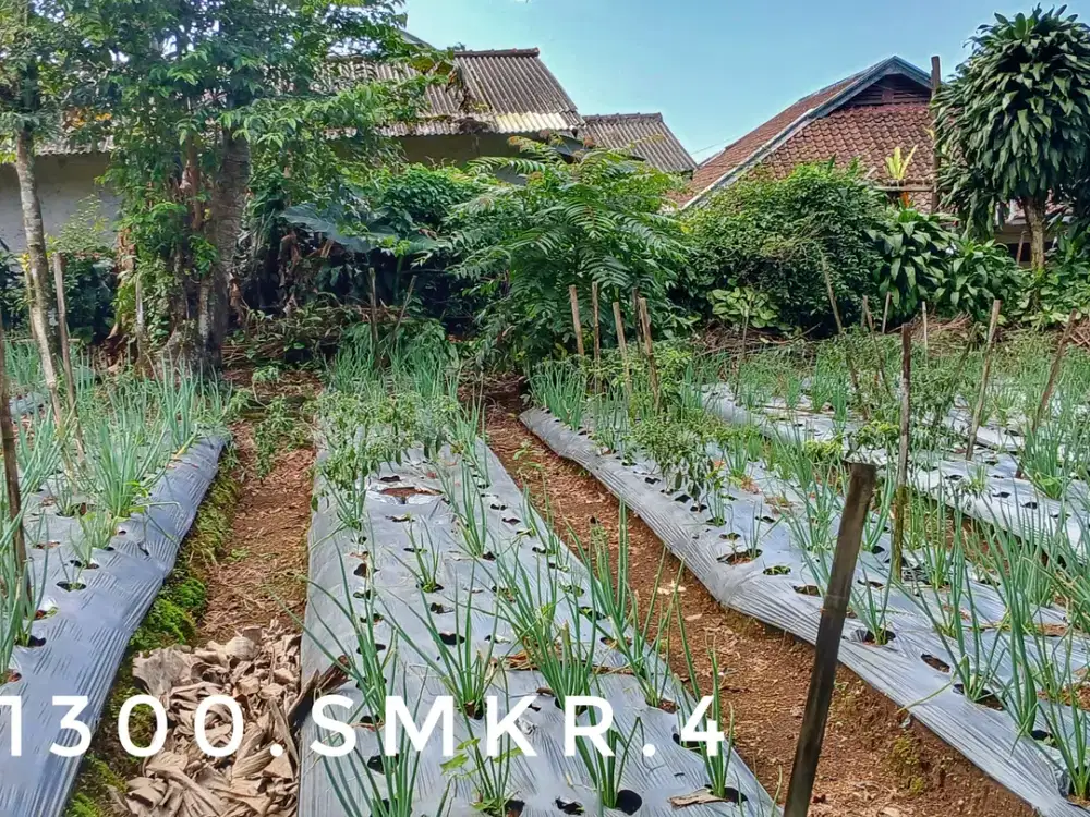 Dijual tanah luas subur pinggir jalan strategis lingkungan nyaman