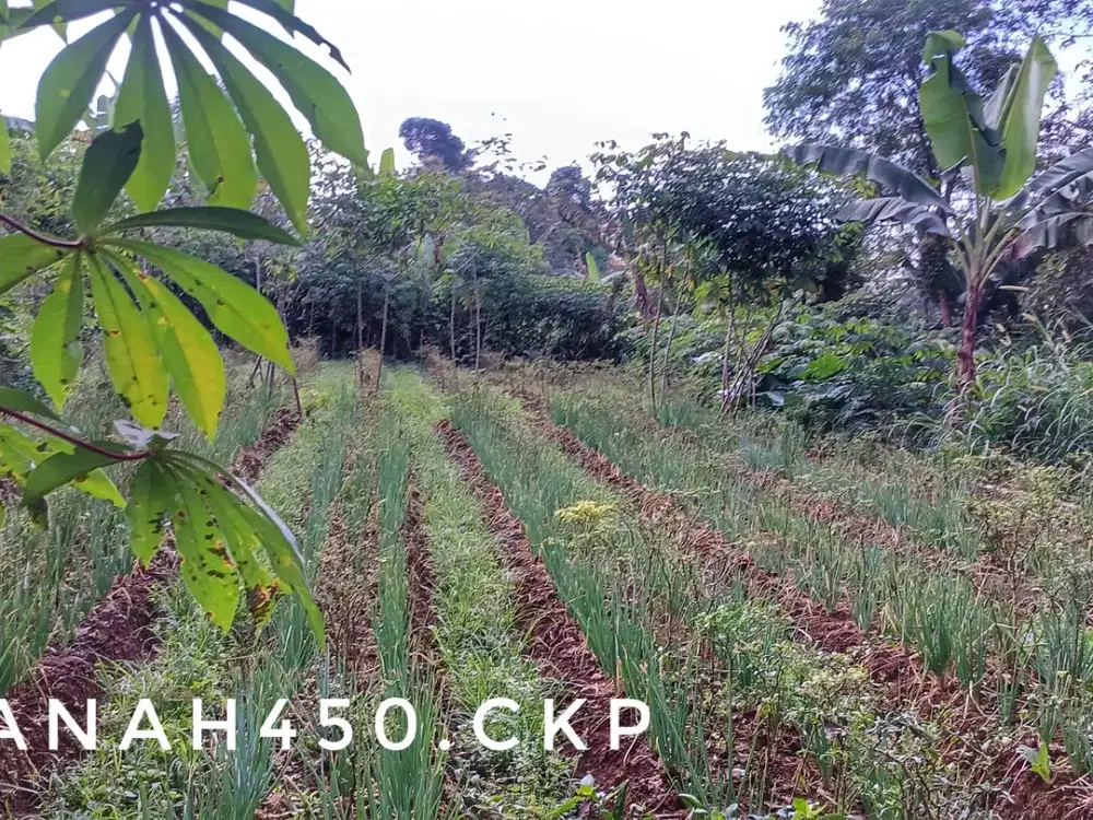 Dijual tanah matang pinggir jalan lokasi bagus murah