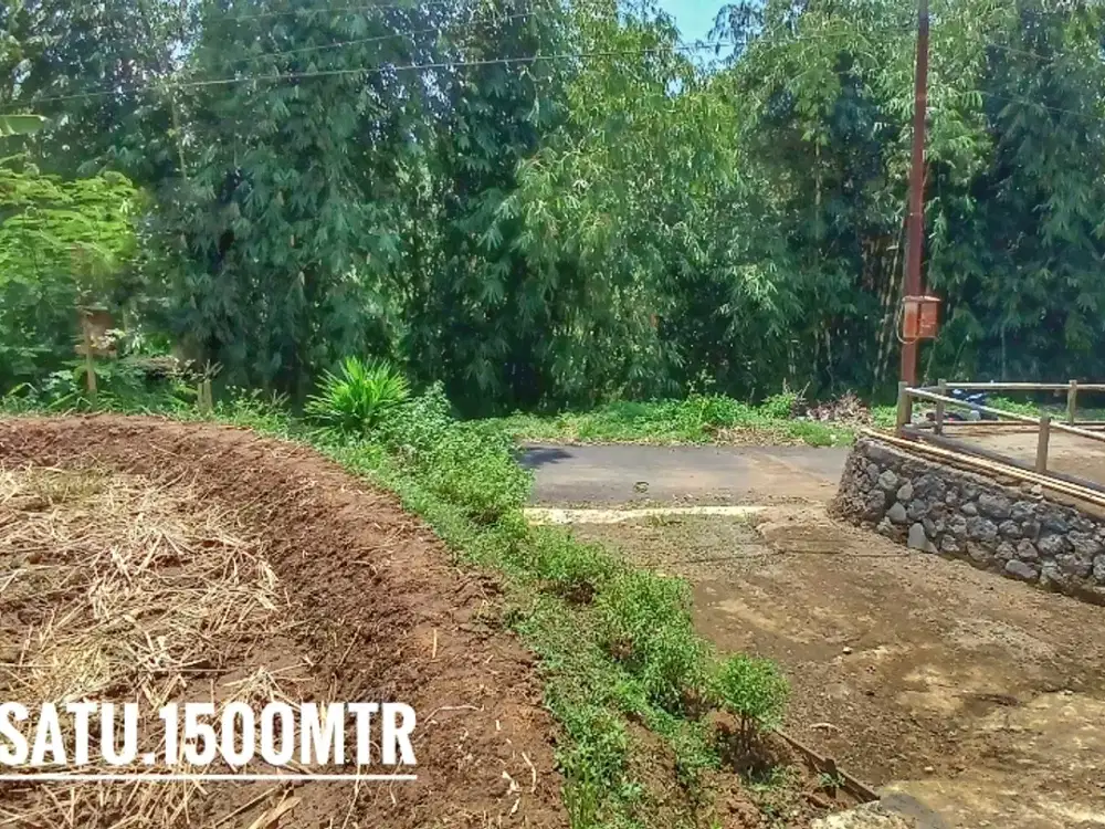Dijual tanah sawah pinggir jalan view bagus subur strategis