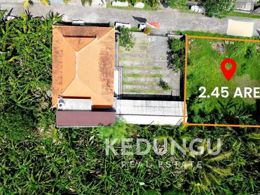 Land for Lease in Kedungu, Bali – Ideal for Villa or Commercial Plots