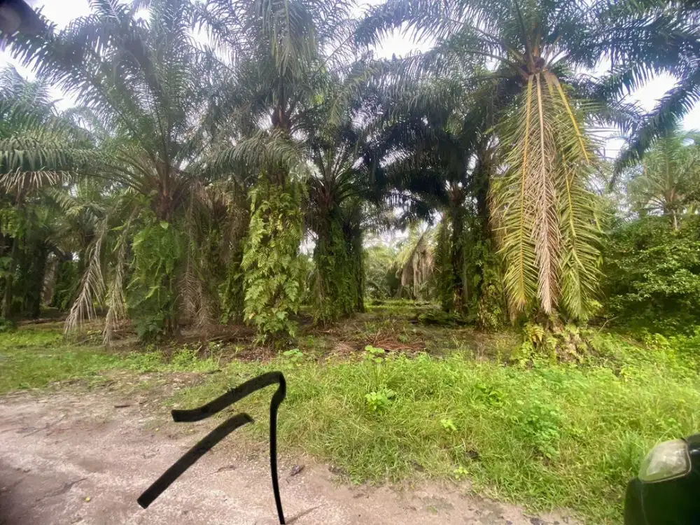 DIJUAL Lahan MURAH Kisaran Asahan Lokasi Strategis