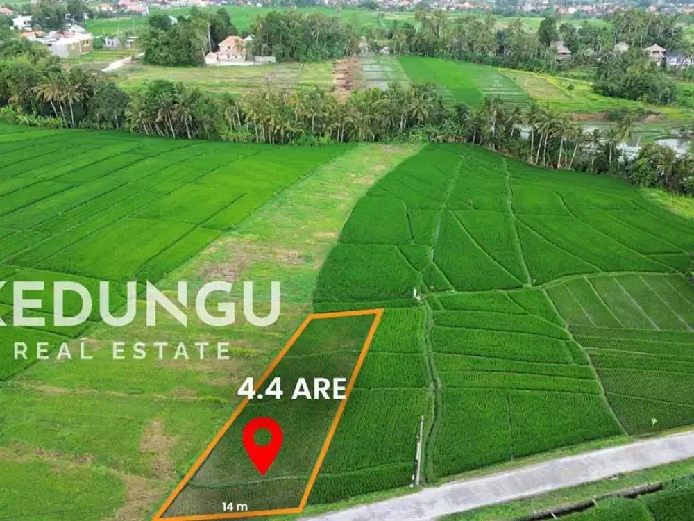 Leasehold plot in Kedungu village with stunning rice field views