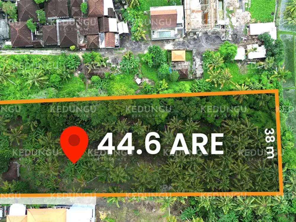 Discover Leasehold Land in Pangkung Tibah, Bali - with Ocean Views
