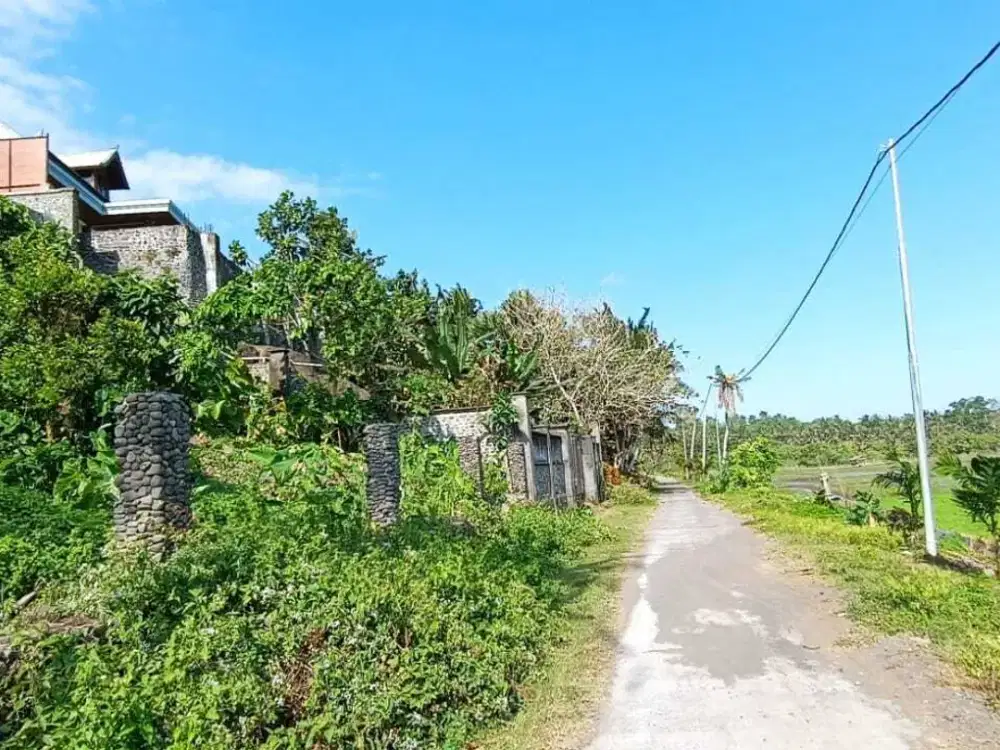 Dijual Tanah Los Pantai Pulukan, Medewi Jembrana Bali