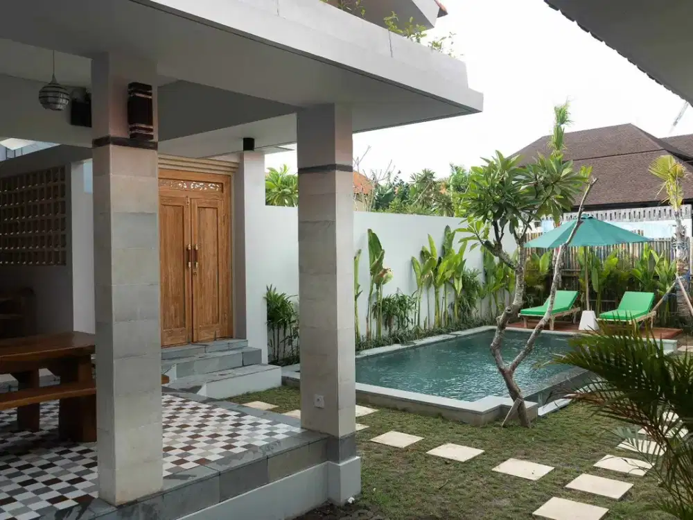 Guest House For Rent Yearly In Padonan Canggu