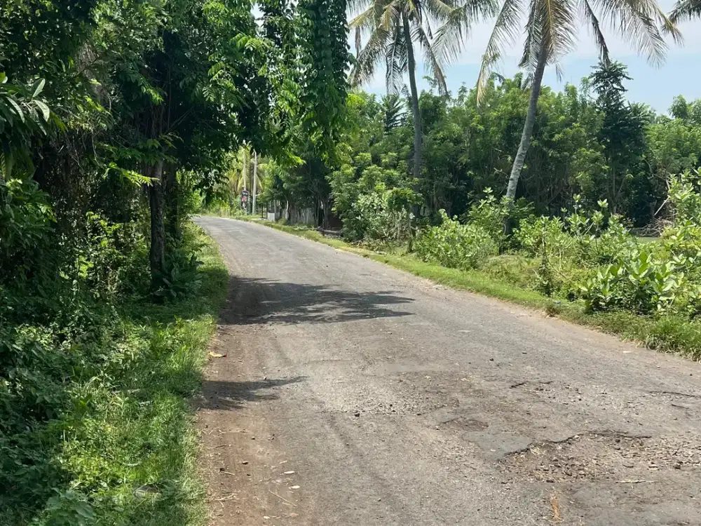 Di Jual Tanah Los Pantai Pengambengan Jembrana.