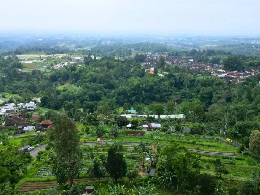 Dijual Tanah Murah Lokasi Strategis Di Bedugul Jatiluwuh Bali