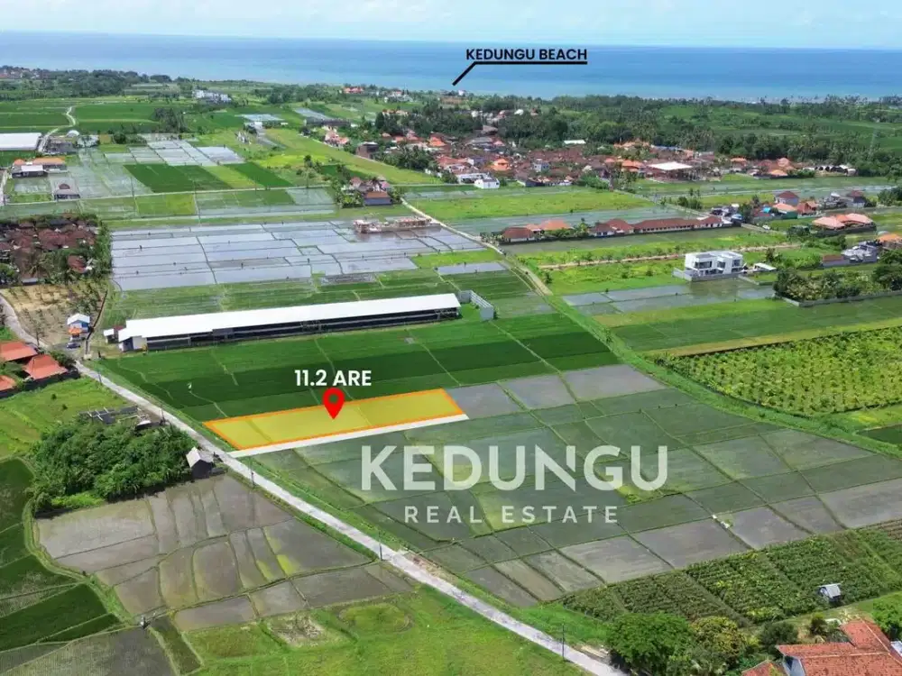 PRIME PLOT IN CAPTIVATING KEDUNGU VILLAGE