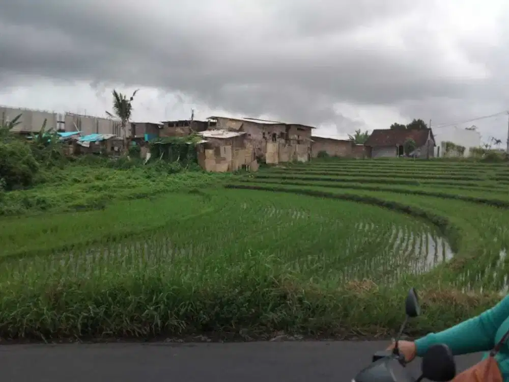 Dijual Tanah Premium di Tabanan Cocok Untuk Villa