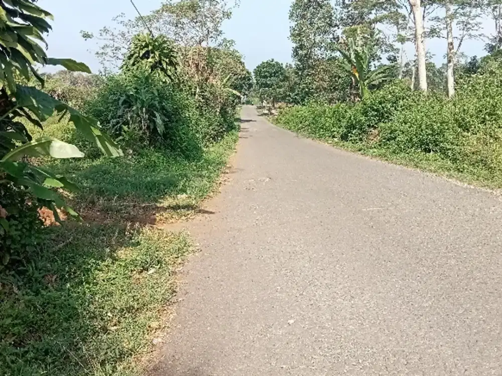 Tanah Kebun Lt. 6225 m, Pinggir Jalann Raya, Bojong, Purwakarta.
