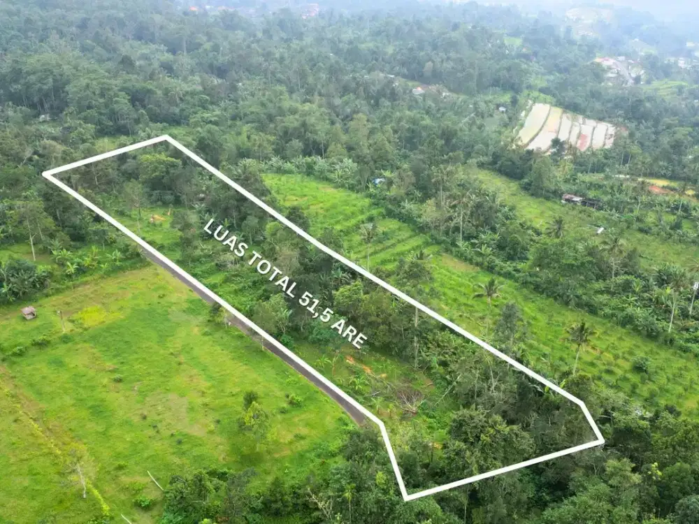Tanah Kavling Dekat Jatiluwih Unesco- Cocok untuk Villa & Investasi