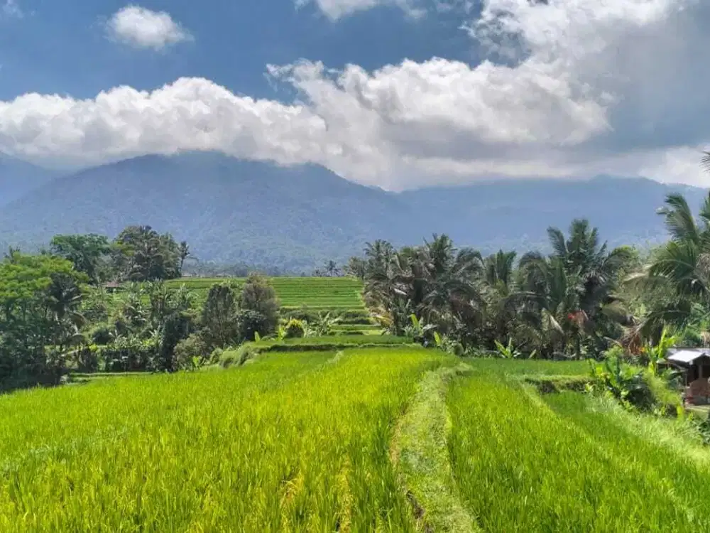 Dijual Lahan Langka Dan Jarang Ada Cocok untuk Glamping