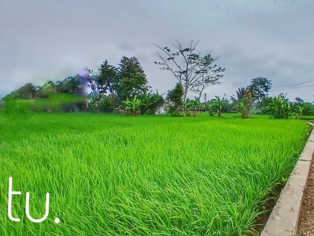Dijual tanah sawah luas pinggir jalan akses mudah area kota