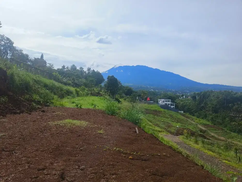 Tanah Luas 700m2 cocok untuk villa akses mudah di megamendung bogor
