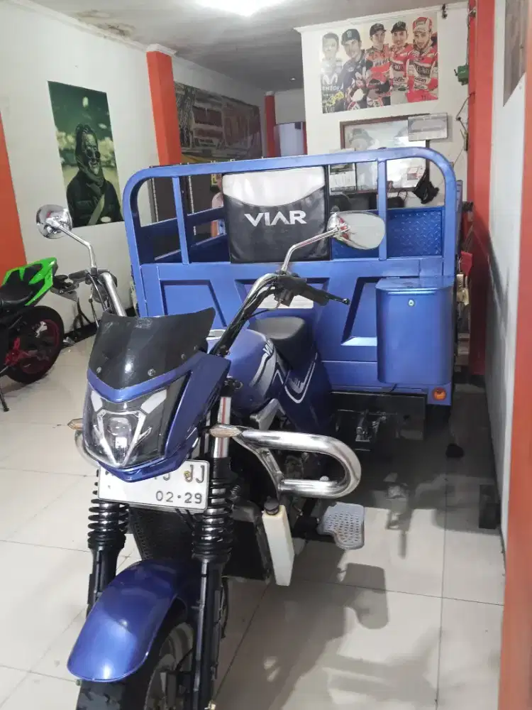 Viar karya 300 cc LONG DOUBLE POWER 2024 FULL ORISINIL
