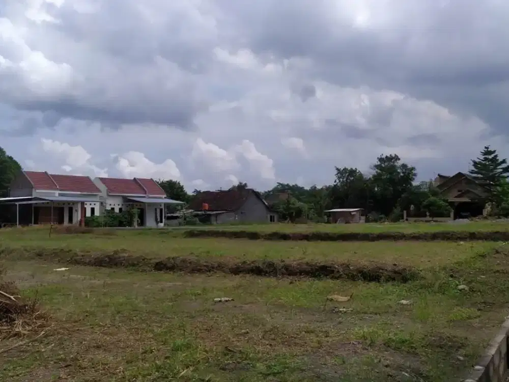 Pembersihan Lahan dari kami, anda siap bangun. Area Sawangan. Depok