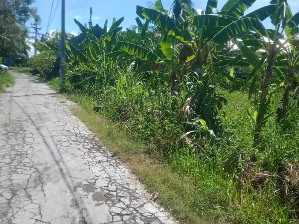 Dijual Tanah Komersil Munggu Bantas Zona Kuning