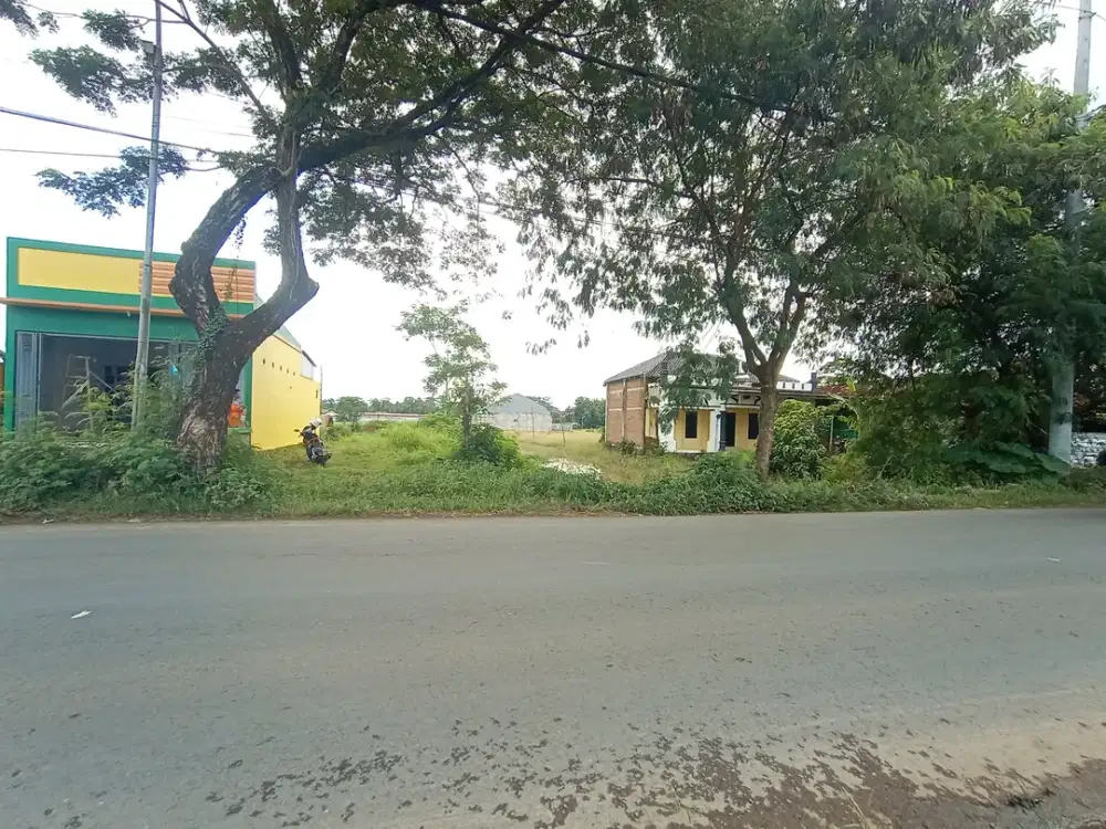 Tanah Strategis Pinggir Jalan Raya Bojong Sragi Pekalongan, SHM