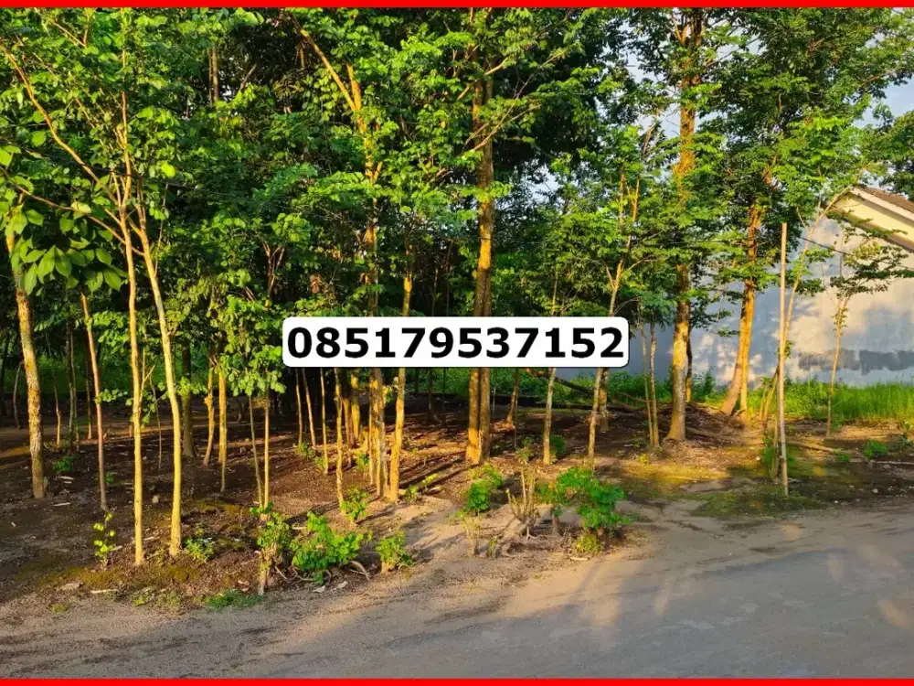 Tanah Murah Cocok Kost Ring 1 Kampus UII Kaliurang Sleman SHM-P