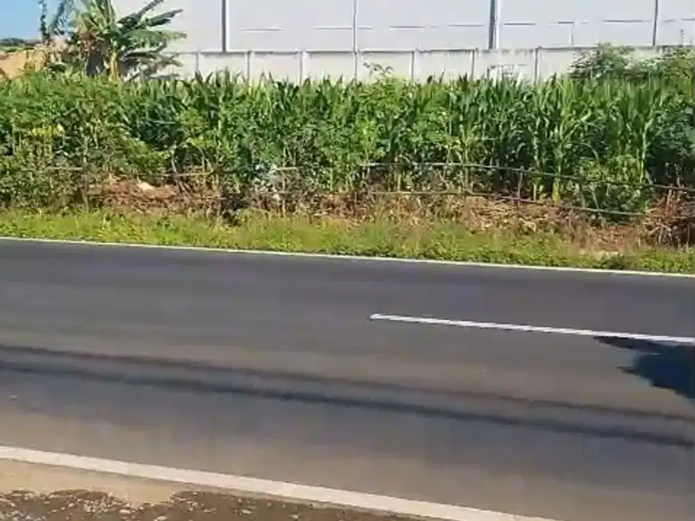 Tanah Poros Jln Raya Ampeldento Pakis Malang