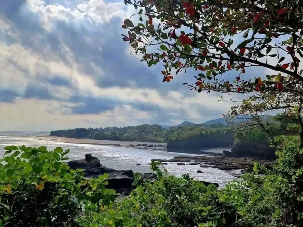 Dijual cepat dan di bawah pasar Sebidang tanah kosong di kawasan pariw