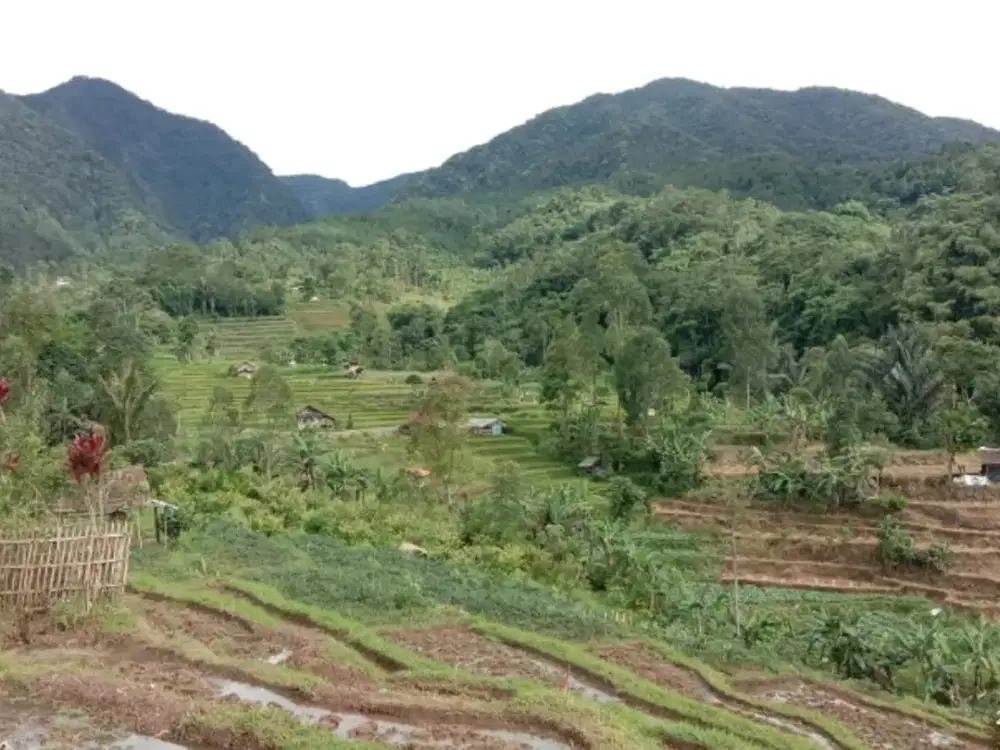 JUAL CEPAT TANAH CIMAUNG BANDUNG SELATAN
