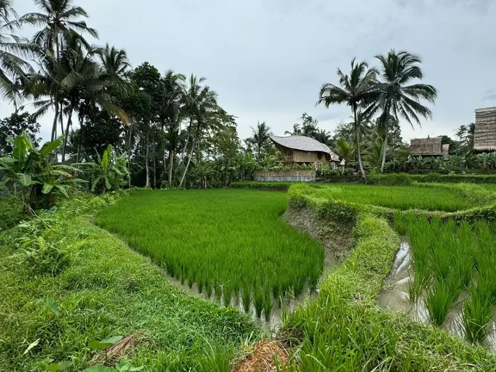 Tanah View Jungle di Ubud Dekat Tebing Sungai