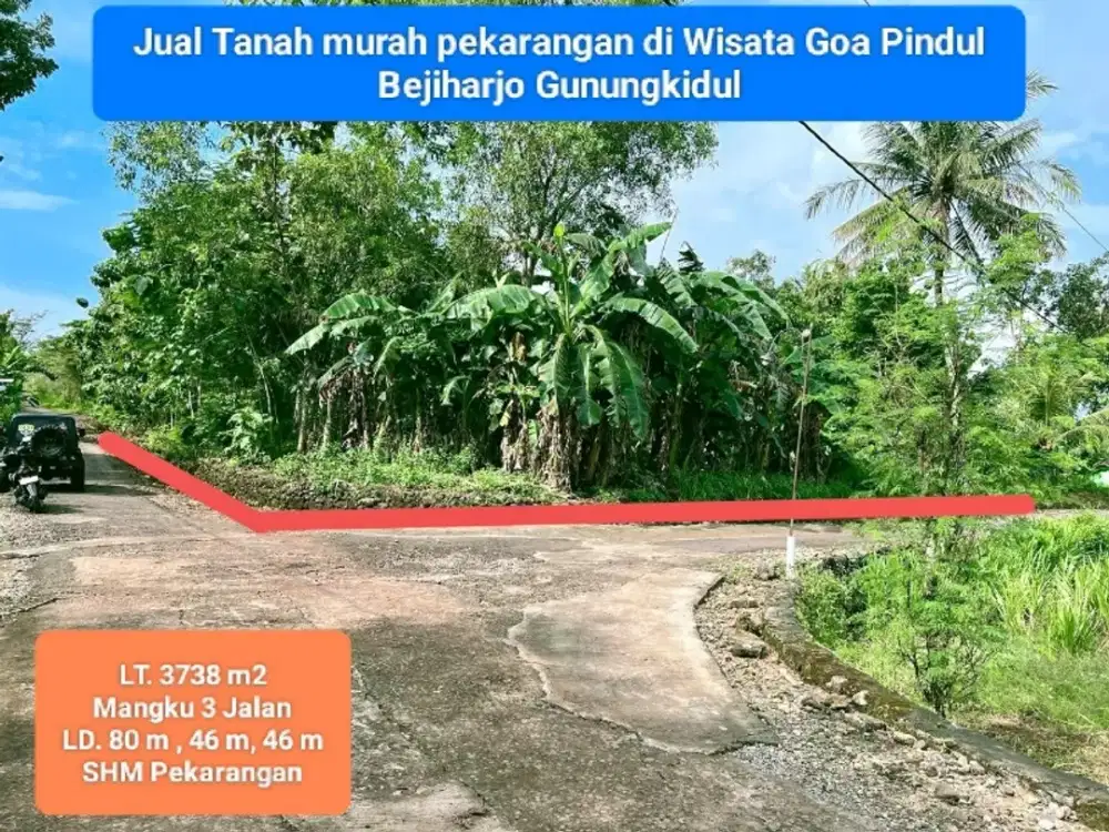 Jual tanah murah subur pekarangan di Bejiharjo Gunung Kidul