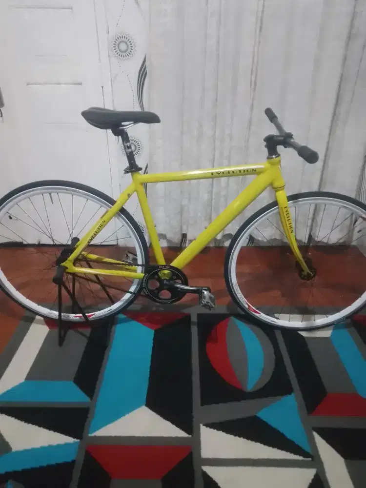 Fixie Gier united evolution