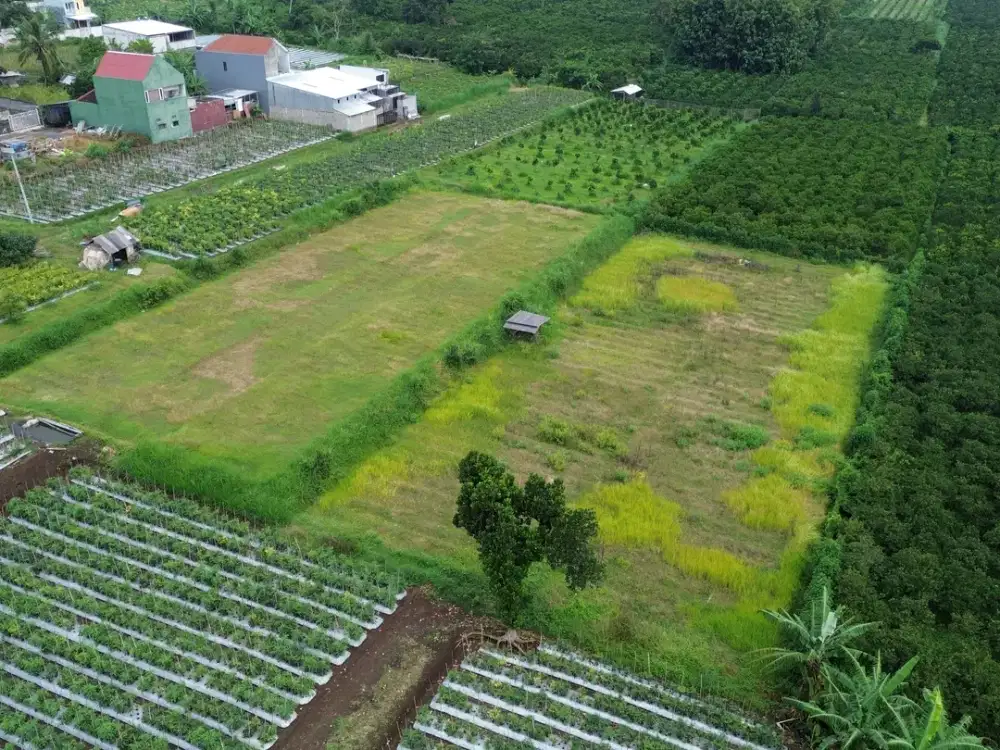 TANAH MALANG DIJUAL HARGA TERJANGKAU