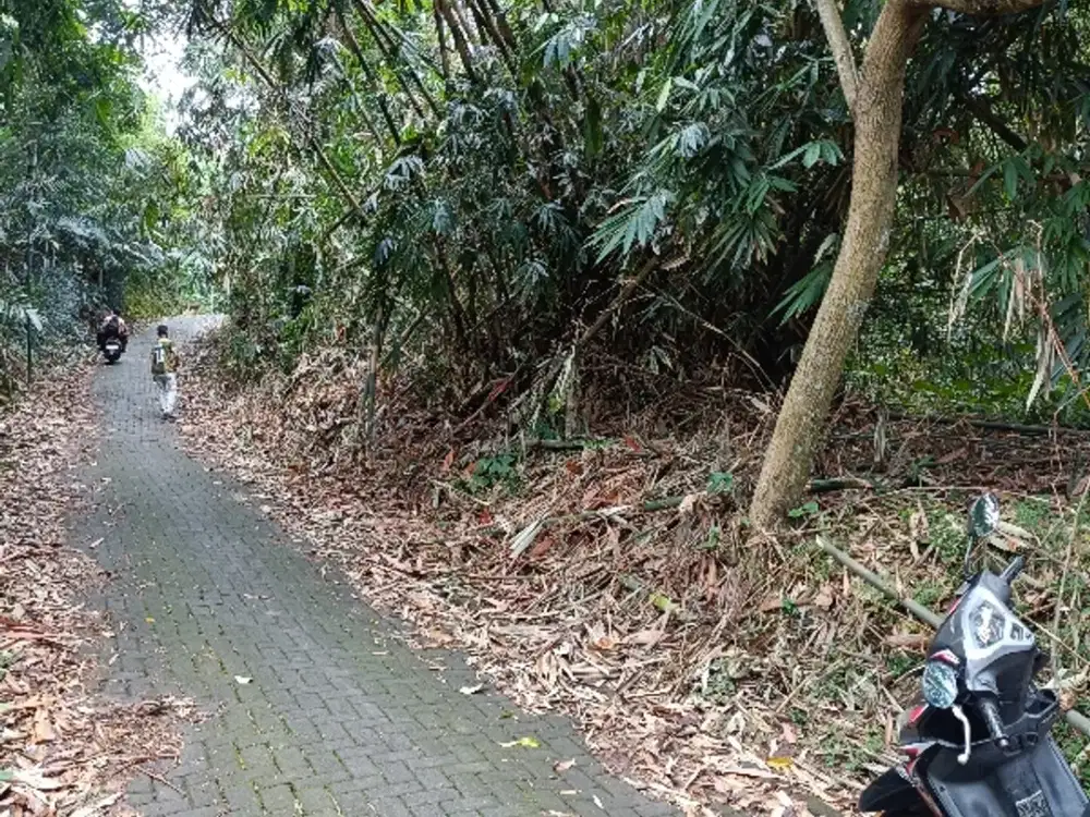 tanah kebun durian karang malang SMG