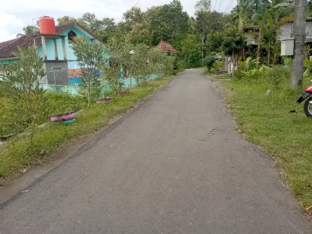Tanah Murah View Sawah dekat Polres Kulon progo