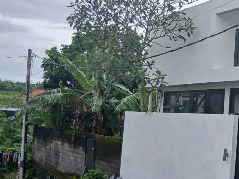 dijual rumah semi furnish di cekomaria peguyangan kangin
