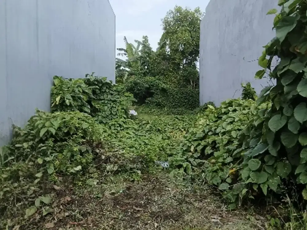 Murah 6 Jt an Tengah Kota Dekat Unair Kampus A, Gubeng, Dharma Husada