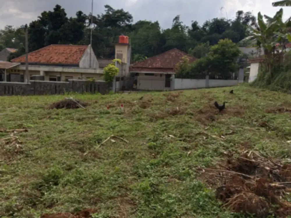 Tanah matang Padasuka Kota Bandung, SHM