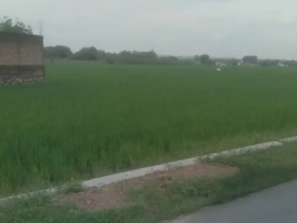 Dijual Cepat! Lahan Industri 10 Ha di Masaran Sragen – SHM,