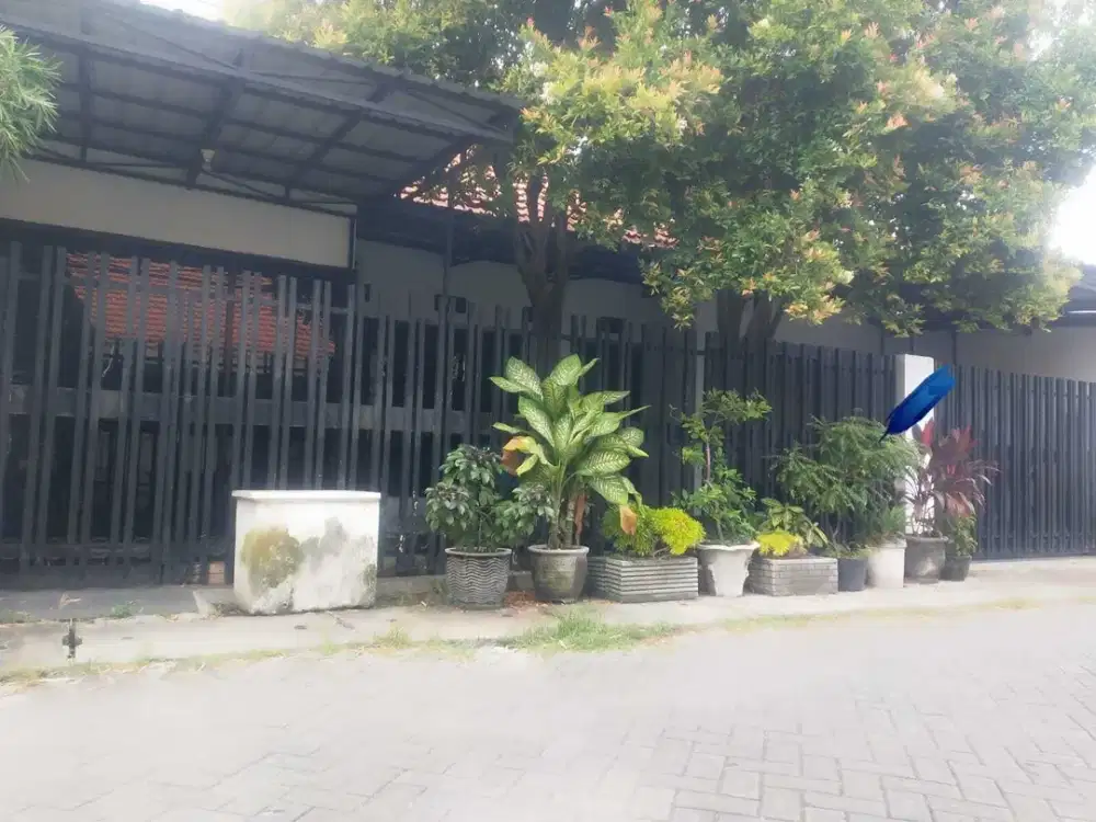 Dijual cepatt!  Rumah di tengah kota jl. Manyar Adi Surabaya