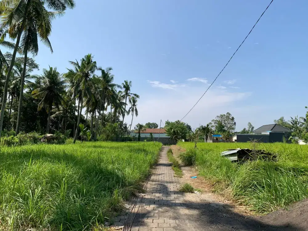 Disewakan Tanah Di Ubud Jln.Silungan Gelogor