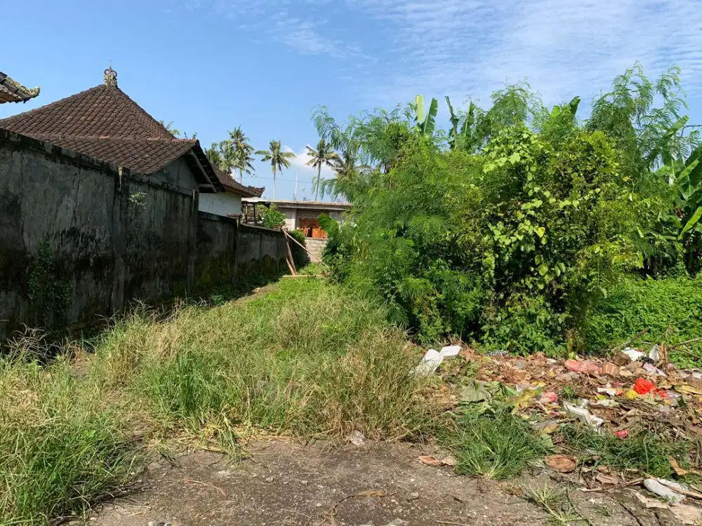 Di Jual Tanah Di Ubud Jalan Silungan Gelogor.