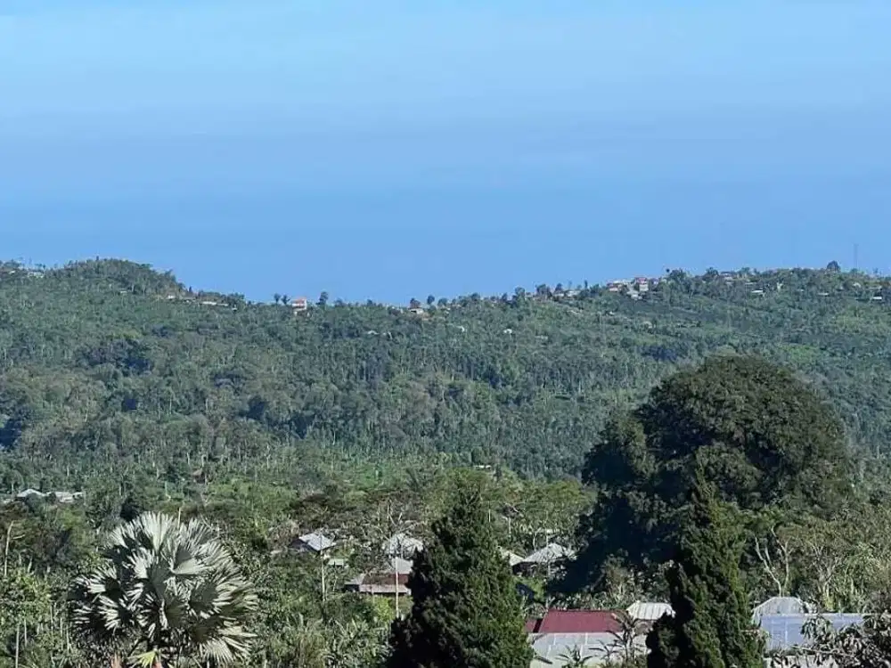 Dijual Tanah View Singaraja / Pantai Lovina