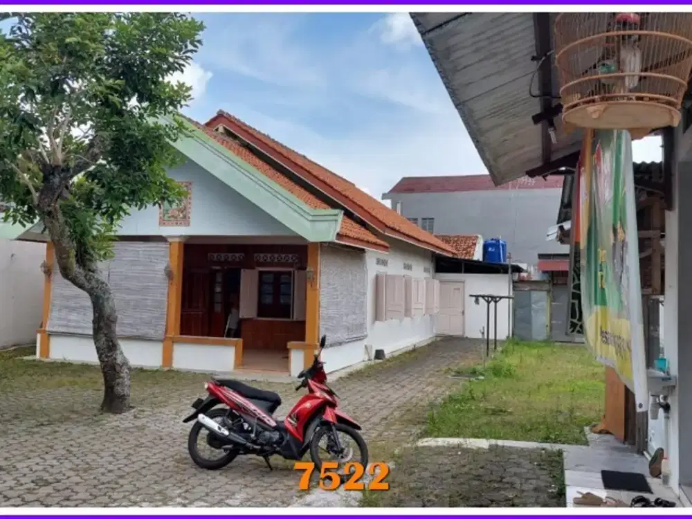 Dekat UIN Jogja, Tanah Luas Cocok Kost Homestay