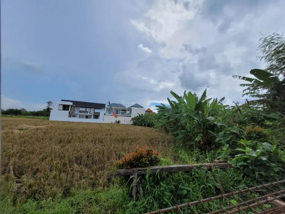 DISEWAKAN TANAH BERLOKASI DI SEMINYAK
