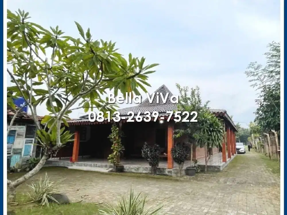 Bonus Sawah, Villa Joglo Di Godean Dijual Murah
