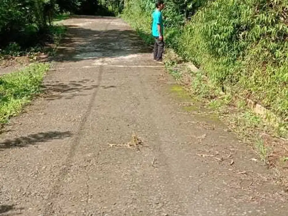 Tanah Murah Di Samigaluh Kulon Progo