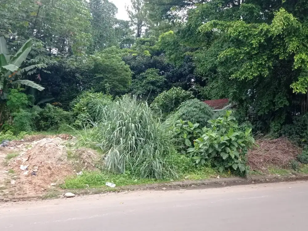 Kavling Gandeng 3 (Bisa beli 1 unit) Jl. Wortel boulevard Griya Loka