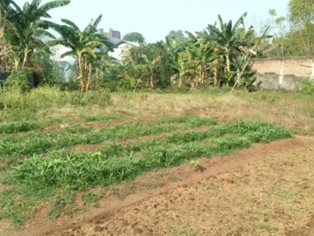 Tanah murah lelang jl jatikramat bekasi