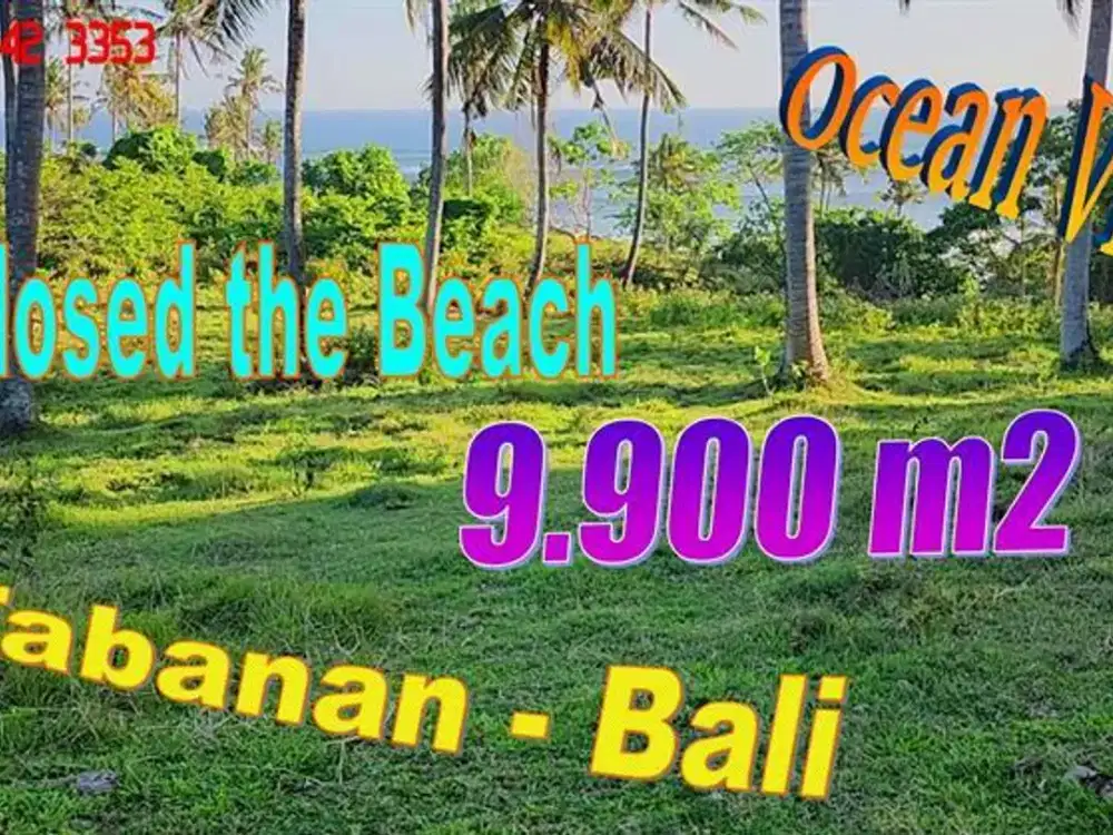 9,900 m2 By the main road with Ocean view in Selemadeg Barat