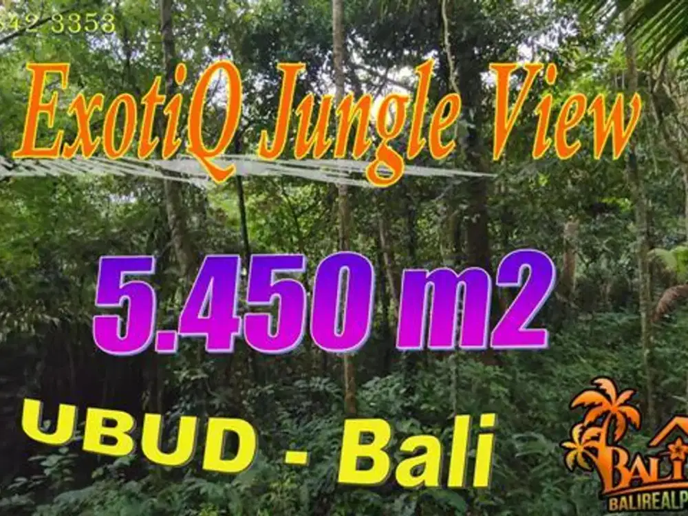 5,450 m2 with Jungle View by the River in Pejeng Kaja